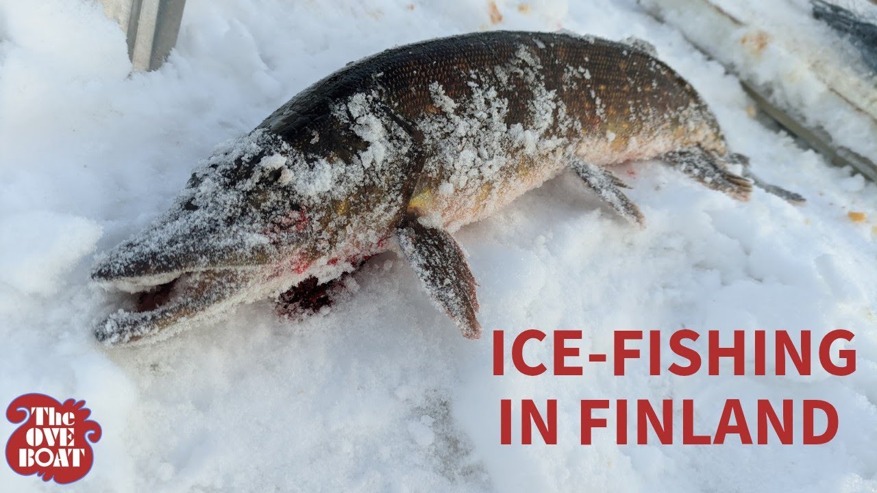 Oddities Beneath the Ice: Fishing in Frozen Finland!