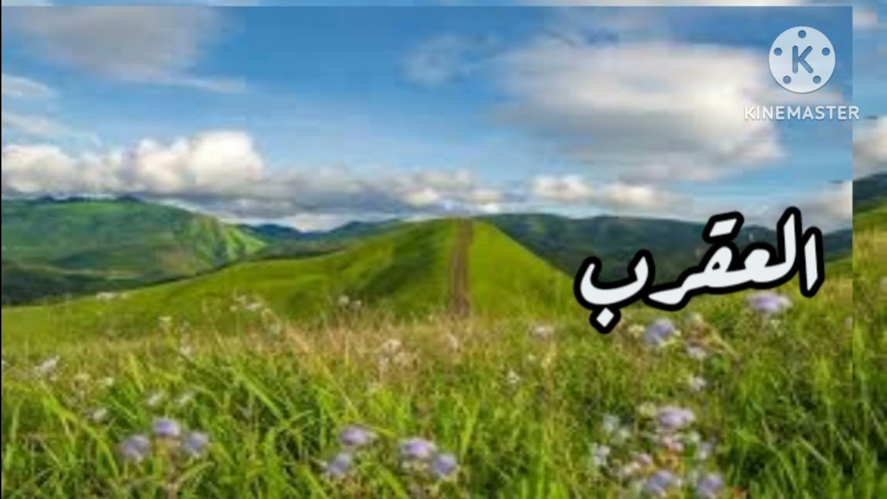 برج العقرب.. ‼️ الجديد شديد.. ‼️🤔