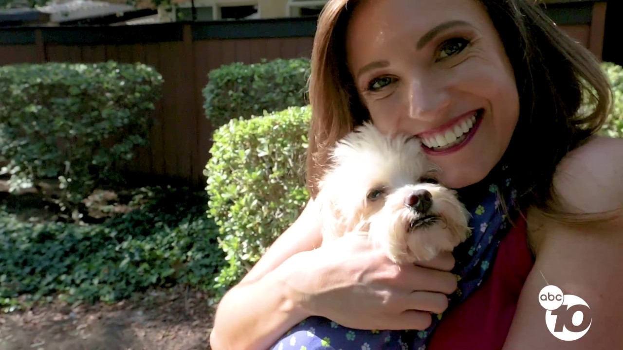 MEGAN PARRY - DOG AMBASSADOR