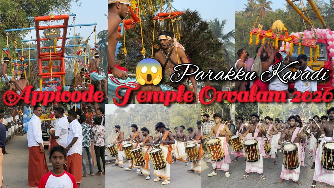appicode amman kavadi 2025 live | parakku Kavadi | Sree Bhadreswari Amman Temple Appicode 