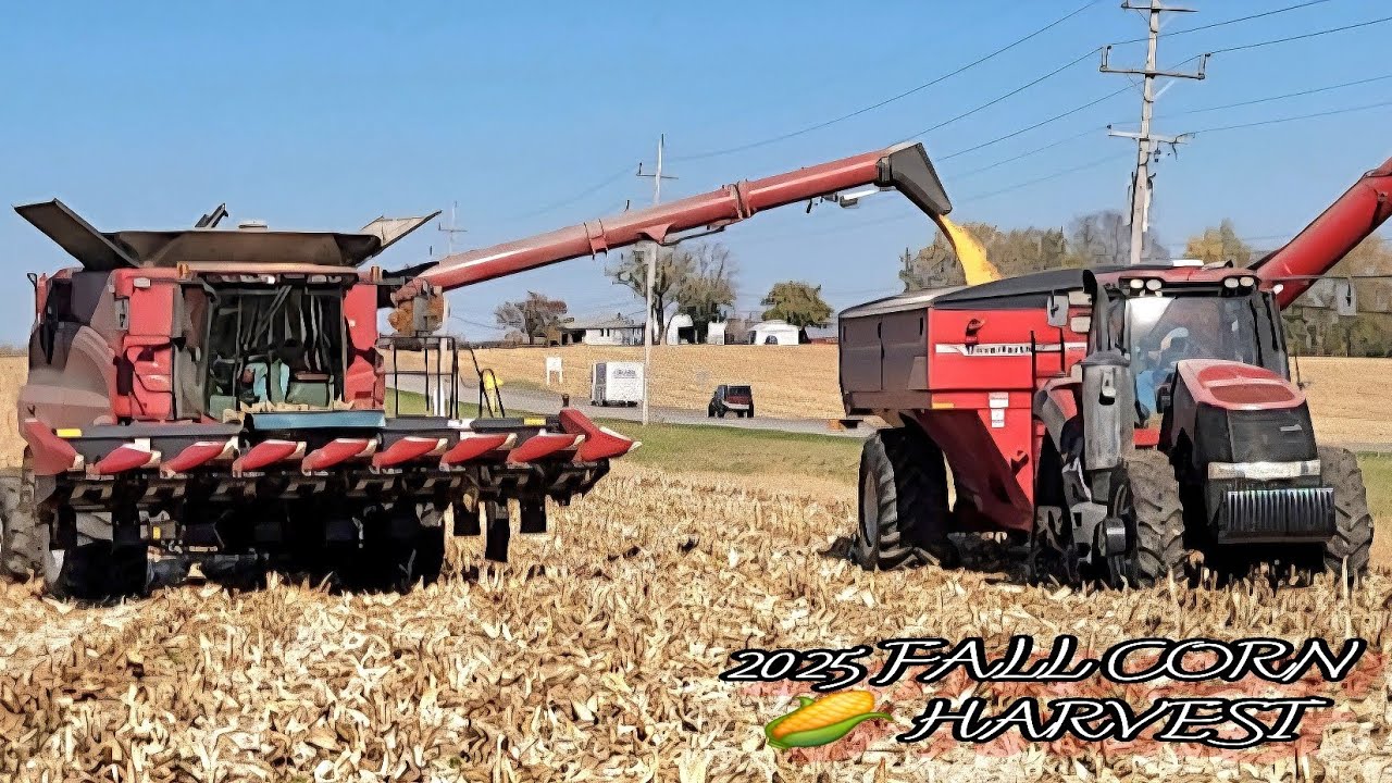 2025 FALL CORN HARVEST 🌽  CASE IH AXIAL FLOW COMBINE OPENING UP A FIELD OF CORN 