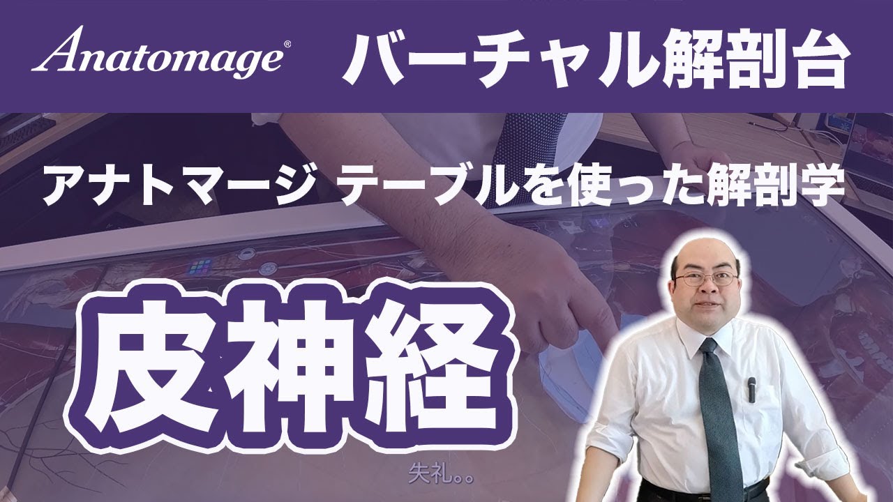 【解剖学 皮神経】バーチャル解剖台 アナトマージテーブルを使った解剖学