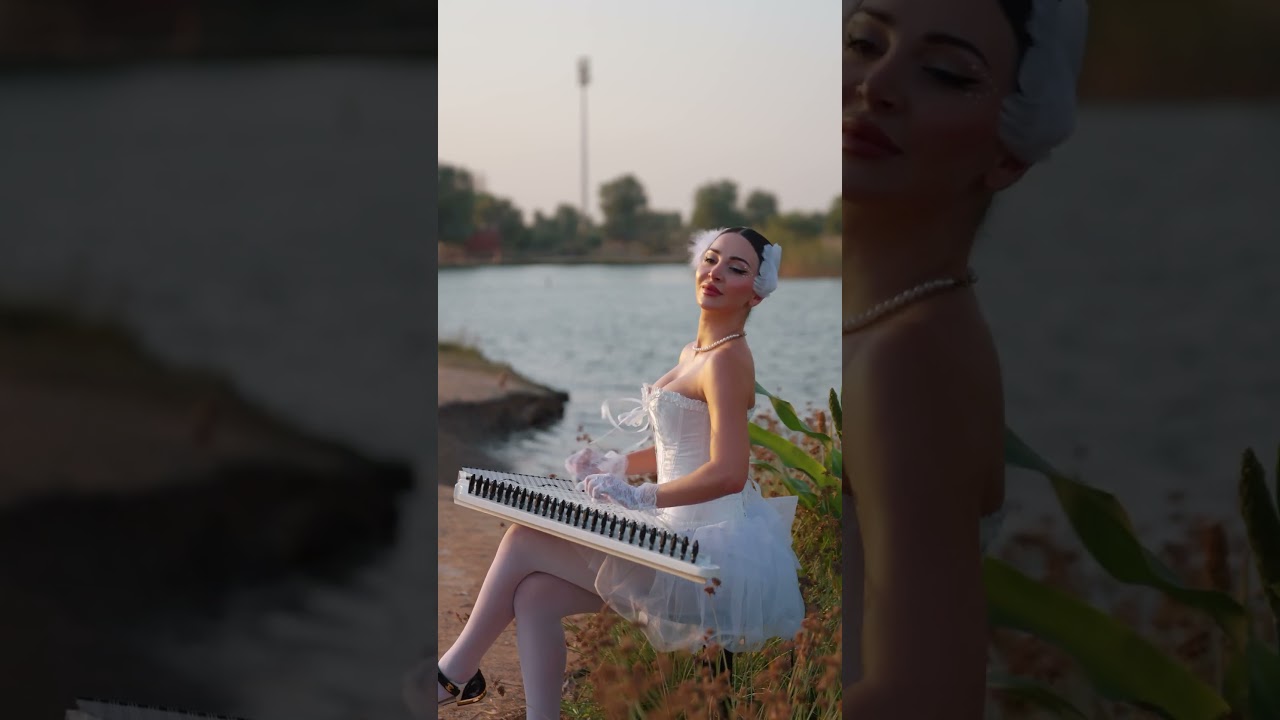 Swan Lake ( QanunCover) 