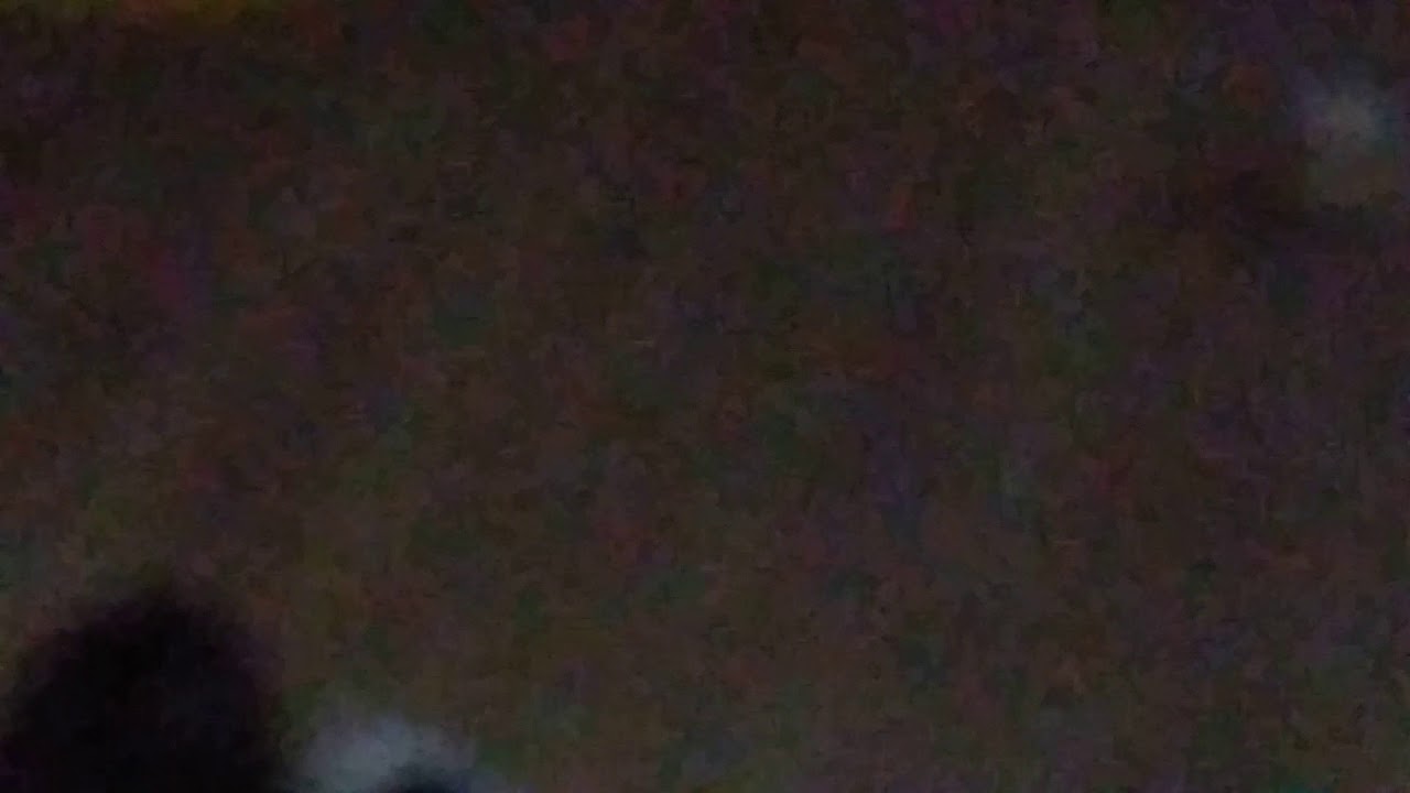 코숏 고양이 발정