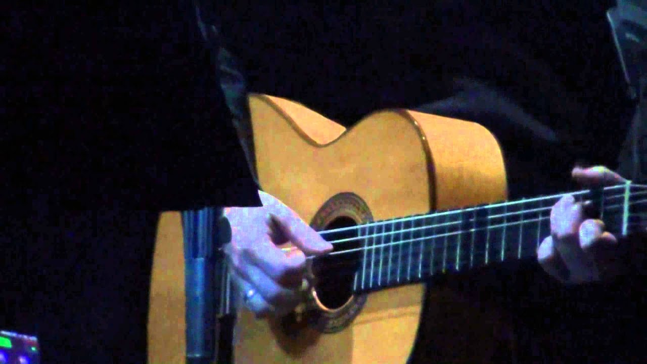 03/04/2013 - Zénith (Dijon) - Damien Saez - Quais de Seine