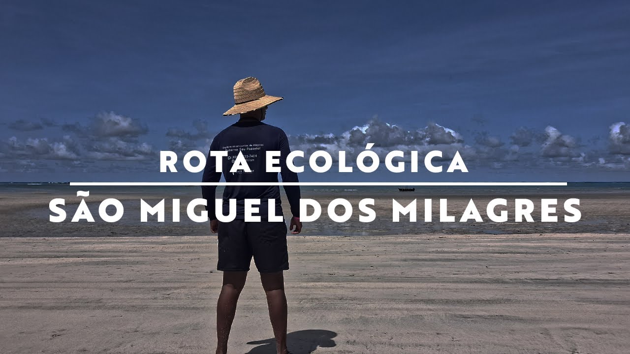 Conheça a Rota Ecológica dos Milagres - Série: Praias de Alagoas #dicasdeviagens