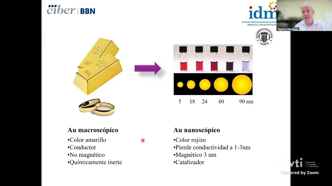Nanomedicina fundamentos, diagnóstico y liberación controlada de fármacos