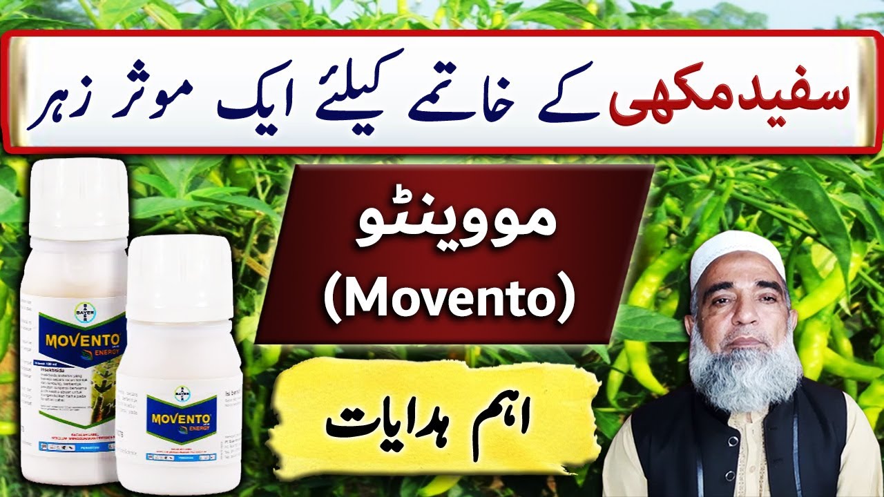 Movento 240 SC, for the control of Whitefly || Crop Reformer