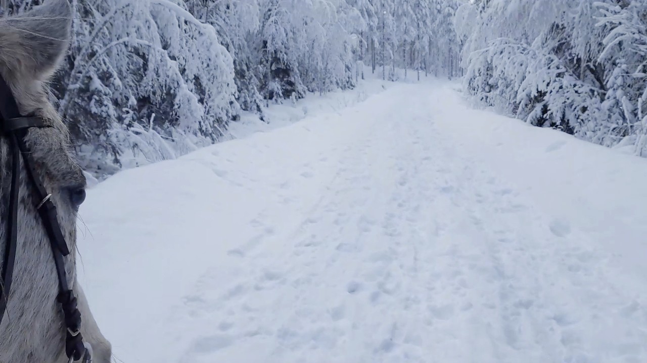 North Sweden, Luleå. Promenad på den Arktiska stäppen i 26 minusgrader,  25 februari 2026.