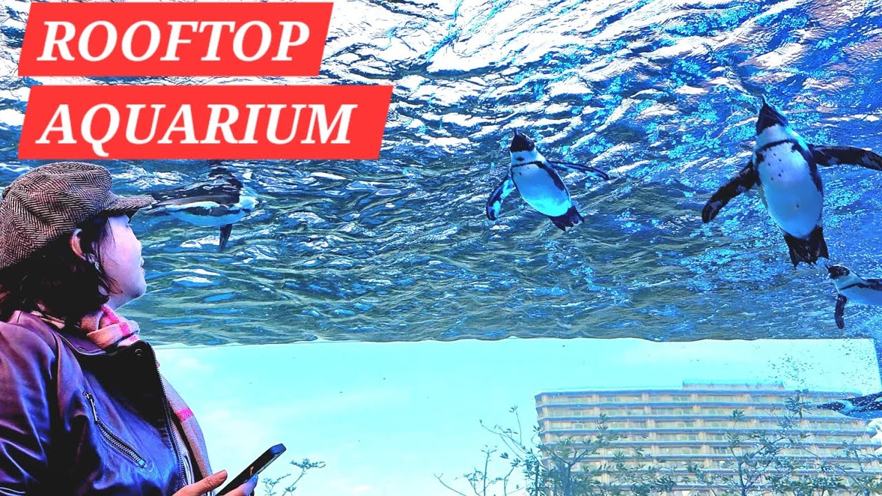 SUNSHINE AQUARIUM - IKEBUKURO - TOKYO JAPAN
