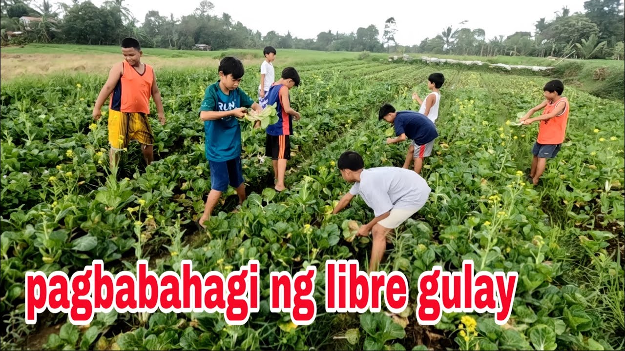 Share the blessings at pasasa Lamat sa magandang ani