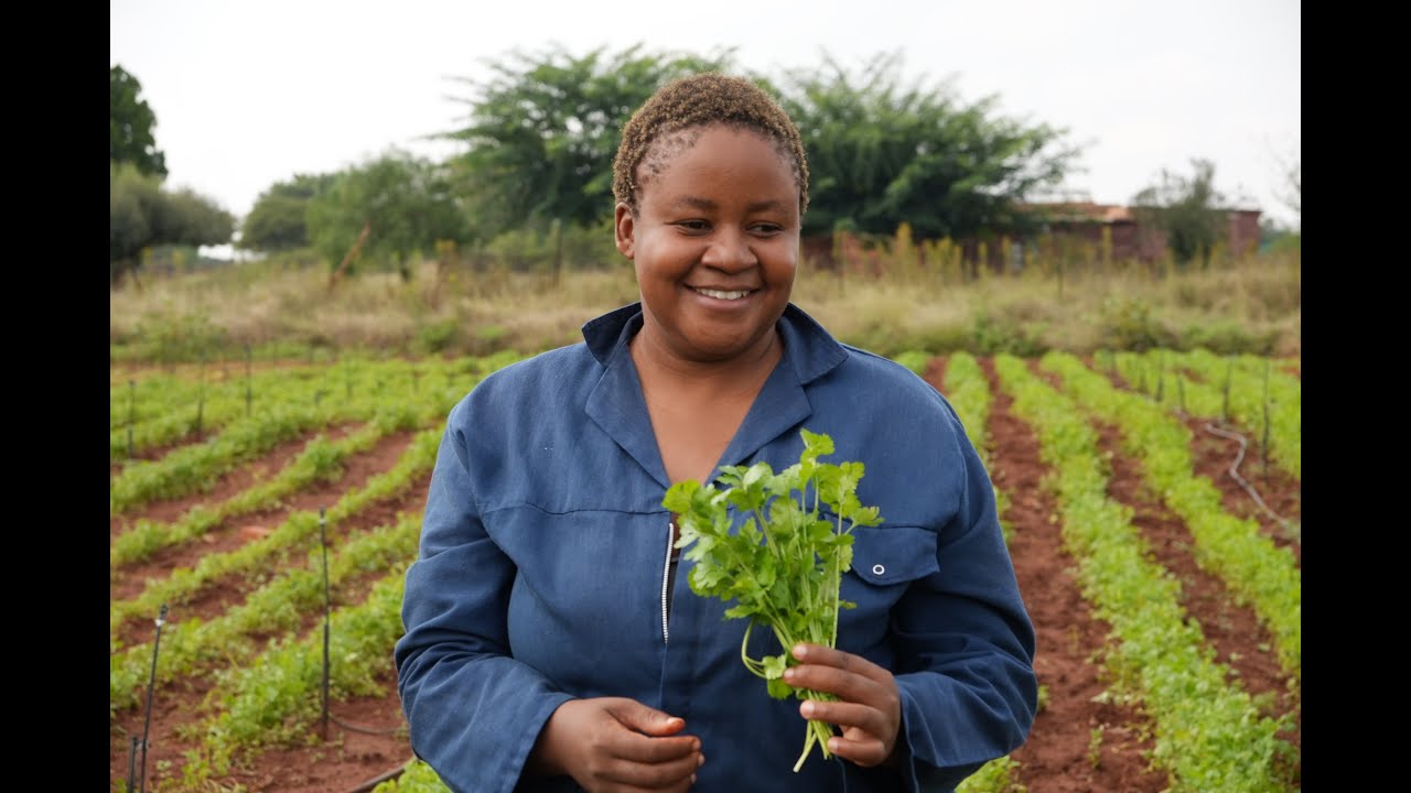 Cotton and Vegetable farmer Tsholo Maimane