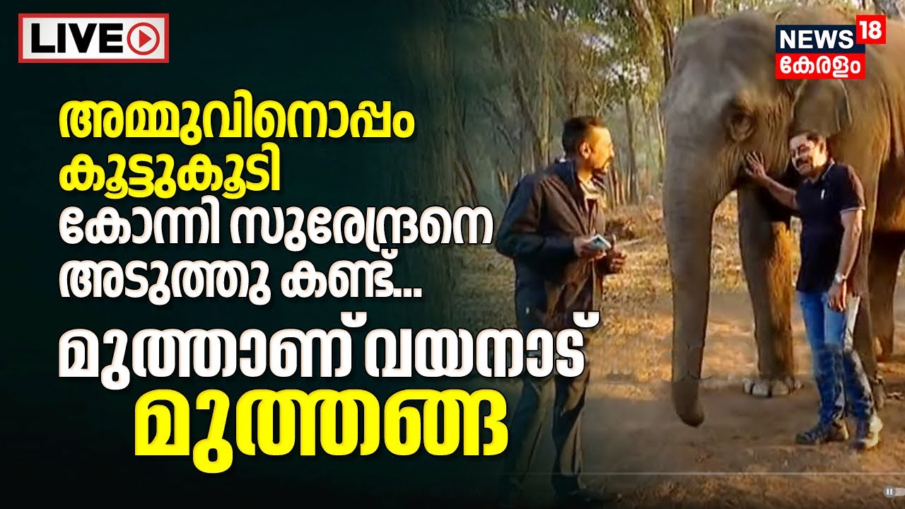 News18 LIVE | Muthanga Wildlife Sanctuary | Muthanga Elephant Camp | Wayanad | Kerala News Today