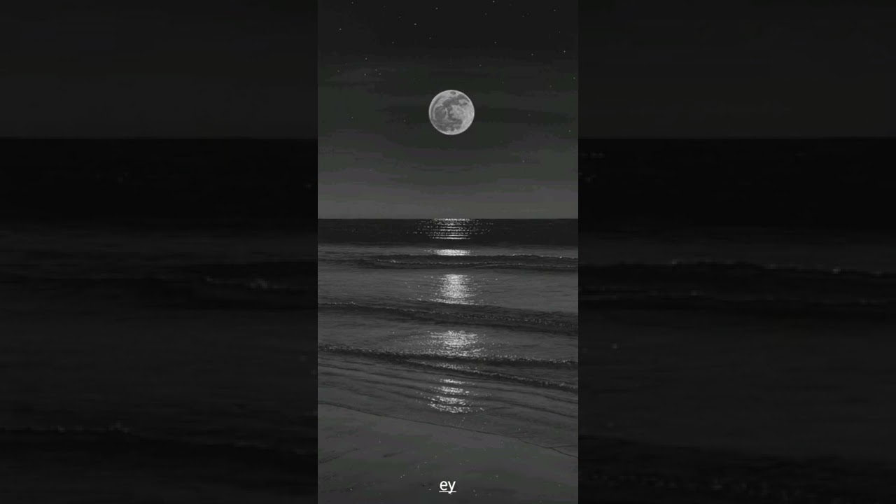 SickBRain (feat. LIL GRIPPIE) - MAOAM text