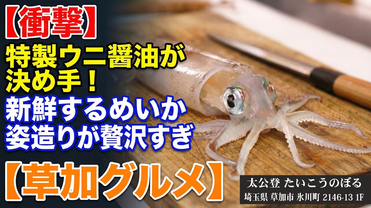 【衝撃】特製ウニ醤油が決め手！新鮮するめいか姿造りが贅沢すぎ【草加グルメ】