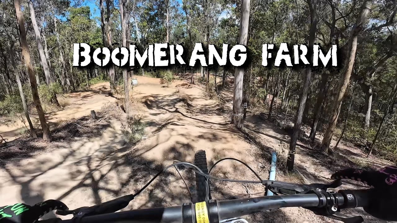 Boomers day with mates 