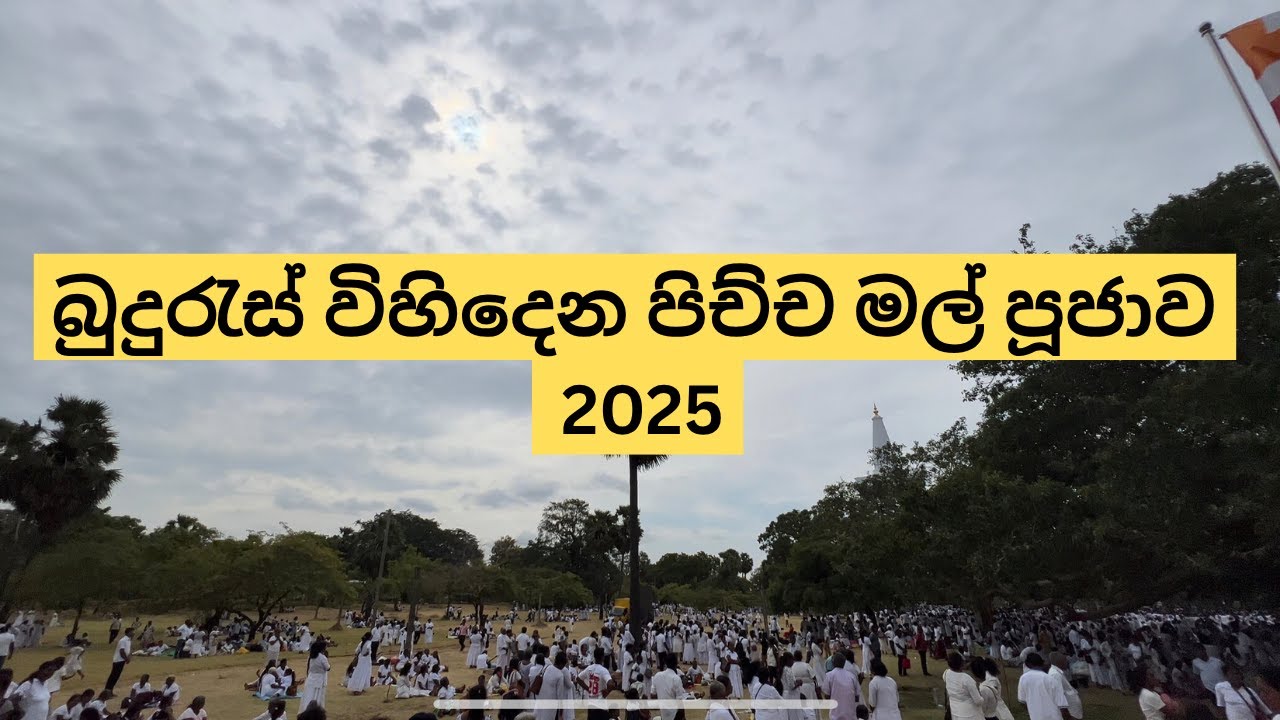 බුදු රැස් විහිදෙන පිච්ච මල් පූජාව 2025 | pichchamal poojawa 2025