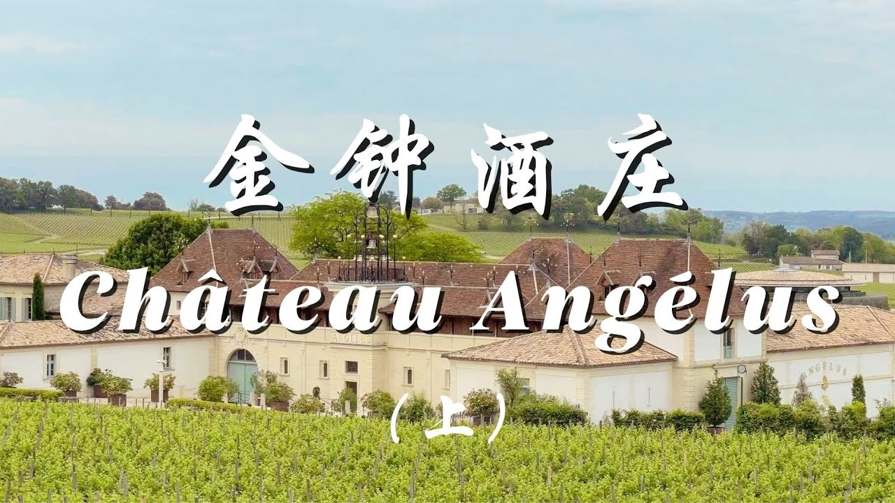【跟着老曹游名庄之金钟酒庄 Château Angélus】（上）