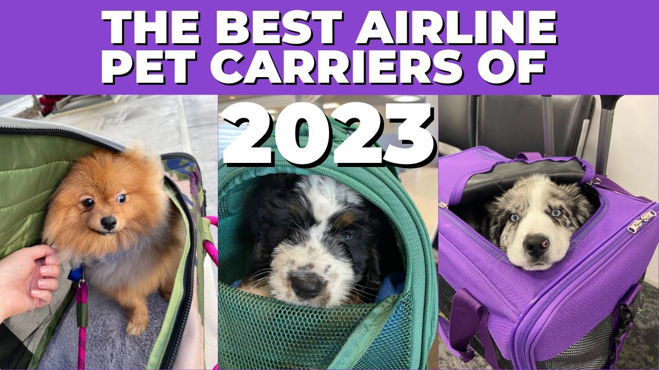 DON'T STRESS about what pet carrier to use for your next flight. Use THESE top TSA approved options
