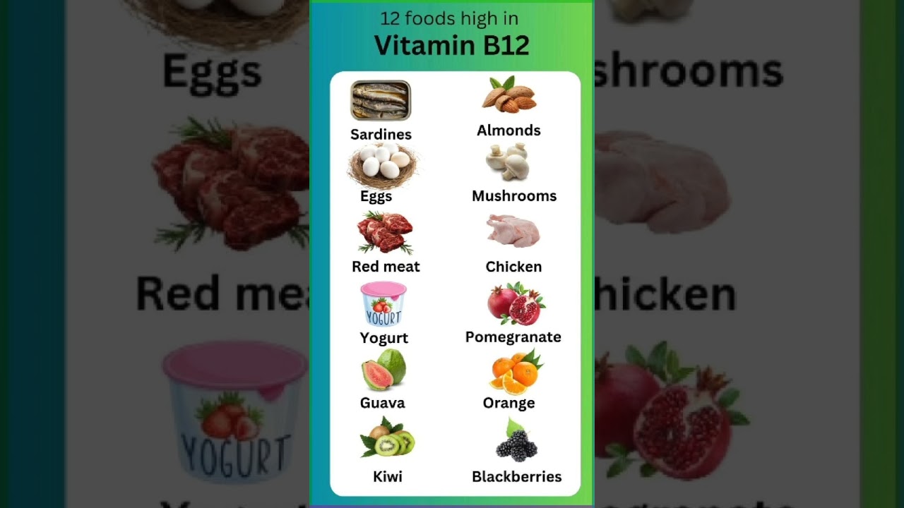 Top Vitamin B12 Rich Foods You Need 