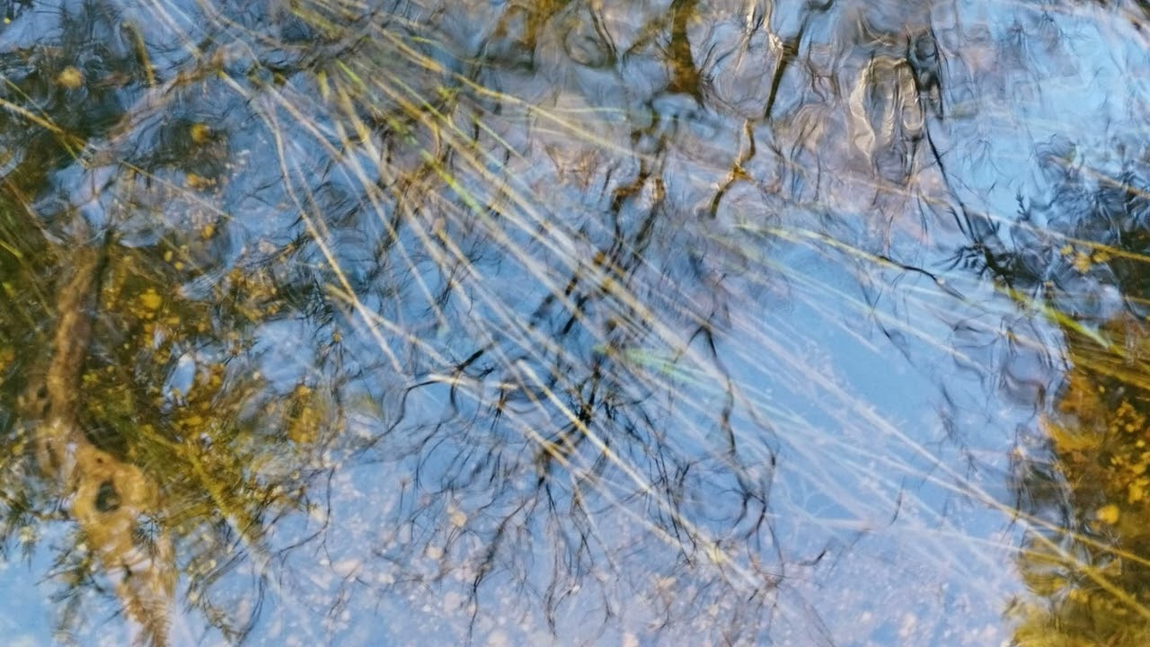 Hommikulaul / Morning Song
