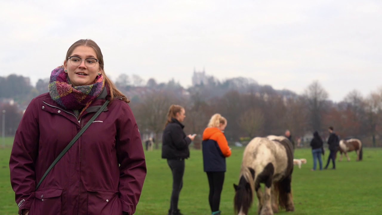 BSc Animal Behaviour and Welfare