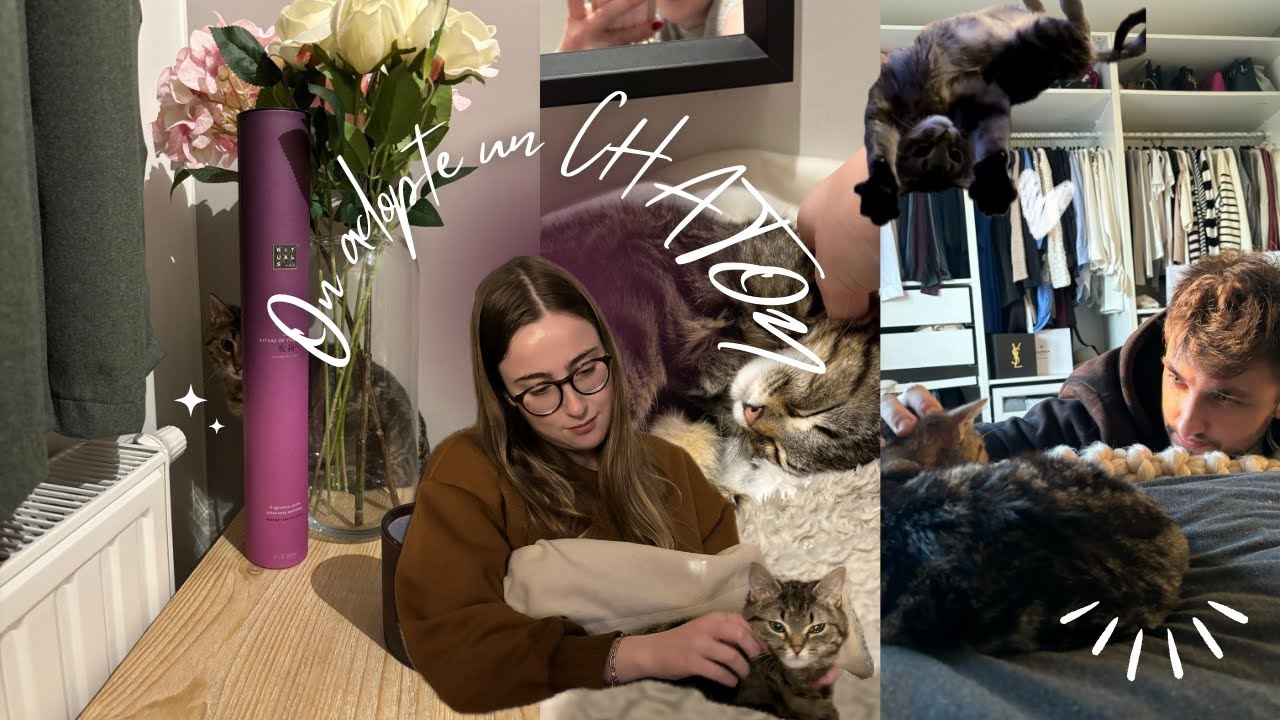 ON ADOPTE UN CHATON 🥺​🤍​