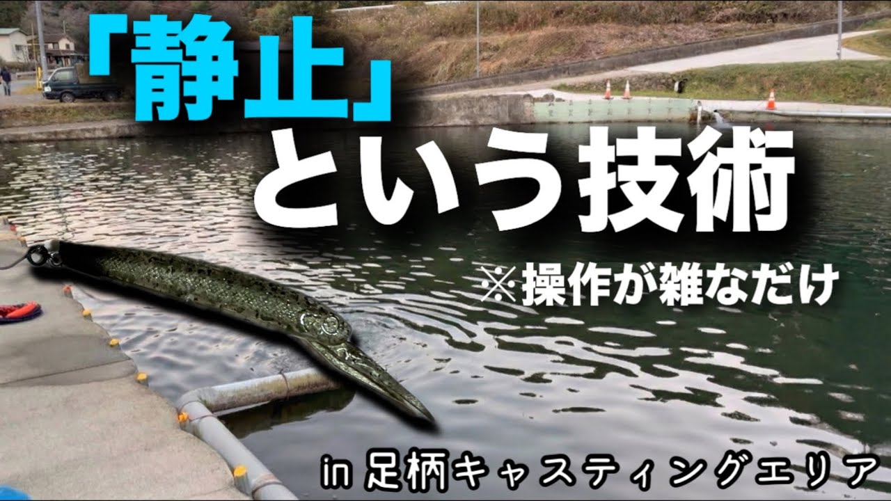 初足柄CA！わずかな違いで魚を狙え！【エリアトラウト】