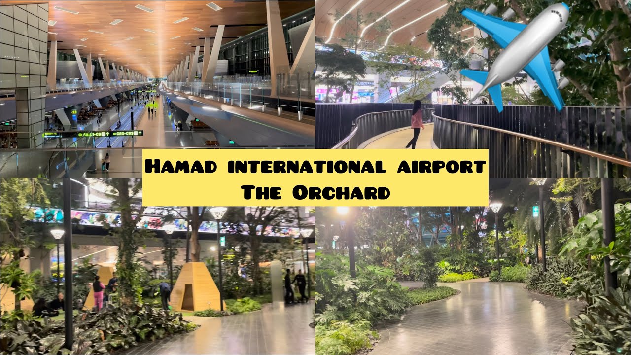 Hamad international airport | Doha,Qatar | How to reach the Orchard | Indoor airport garden