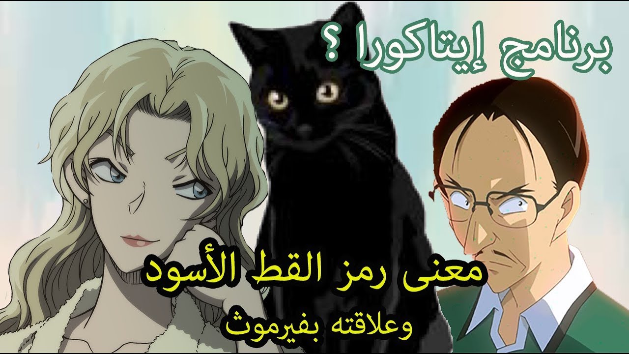 شرح معنى رمز القط الاسود وحقيقة برنامج ايتاكورا الذي طلبته المنظمة السوداء