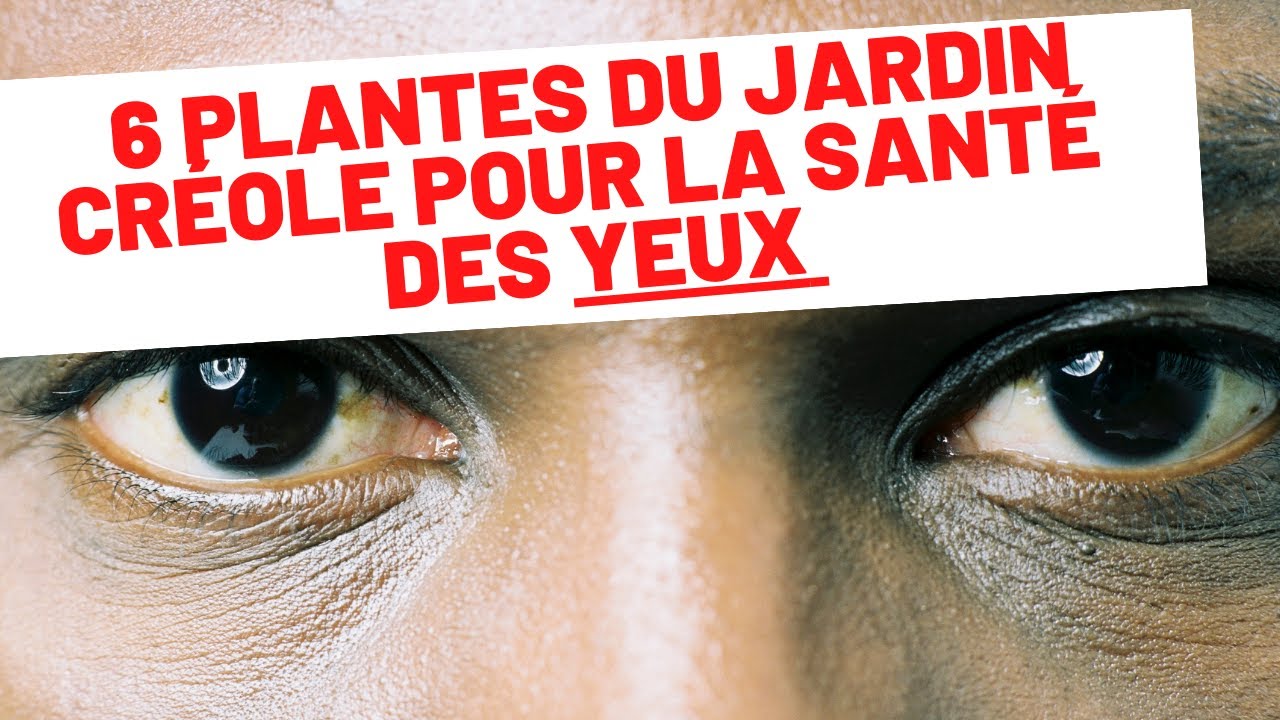 6 plantes du jardin créole pour la bonne santé de vos yeux !
