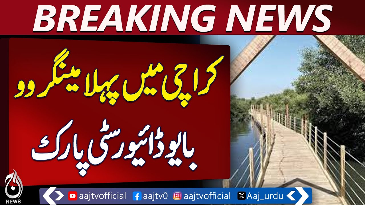 Karachi Mangrove Biodiversity Park | Climate Action | Nature Conservation | Public Park