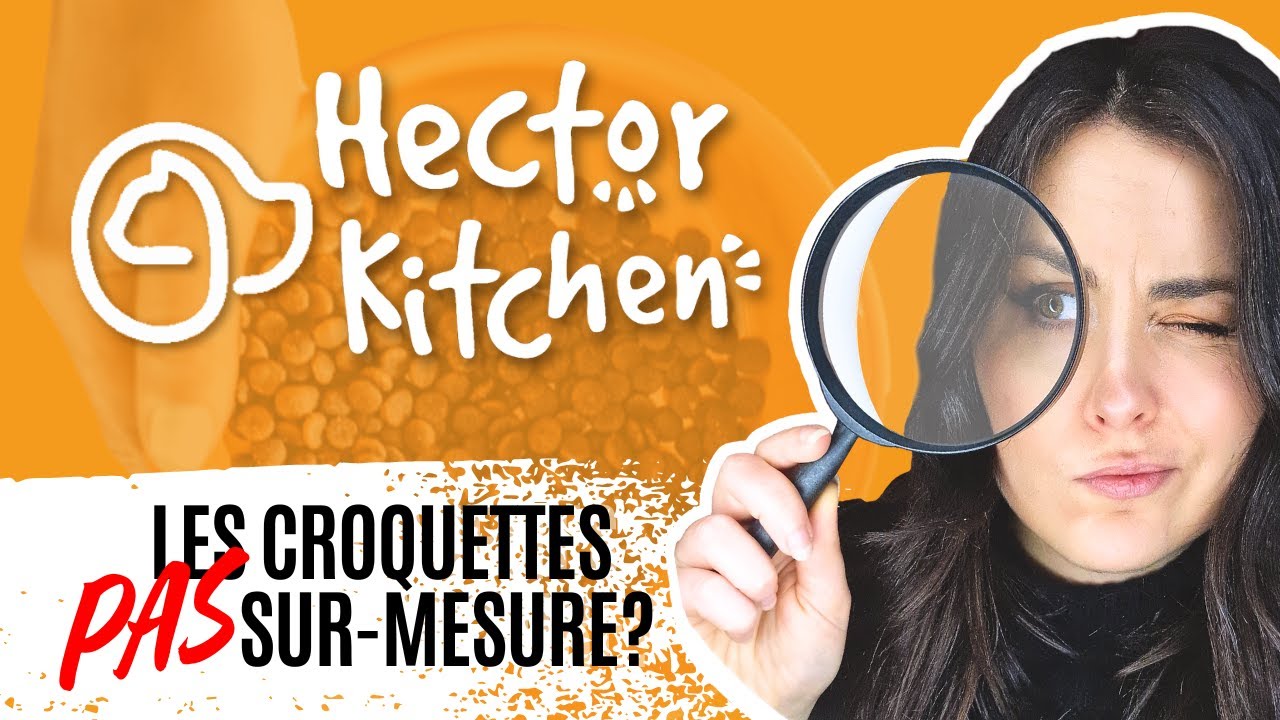Hector Kitchen sous la loupe 🔍🙀L'alimentation qui ne s'adapte PAS à votre chat / chien