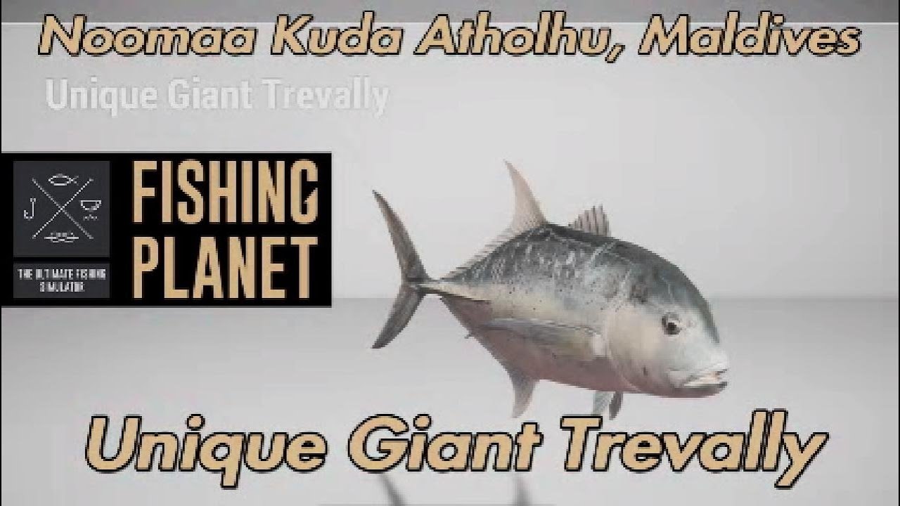 Unique Giant Trevally Noomaa Kuda Atholhu Maldives Fishing Planet Guide