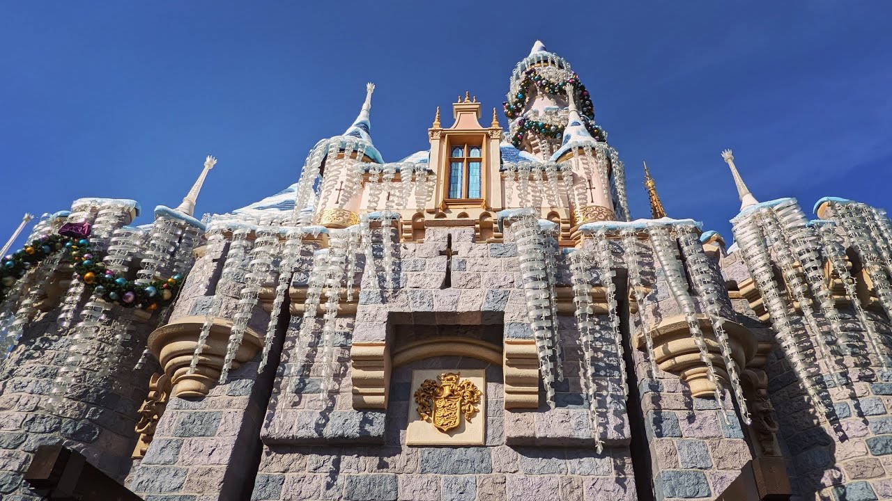 Disneyland: Enjoying The Happiest Place on Earth | Day 2