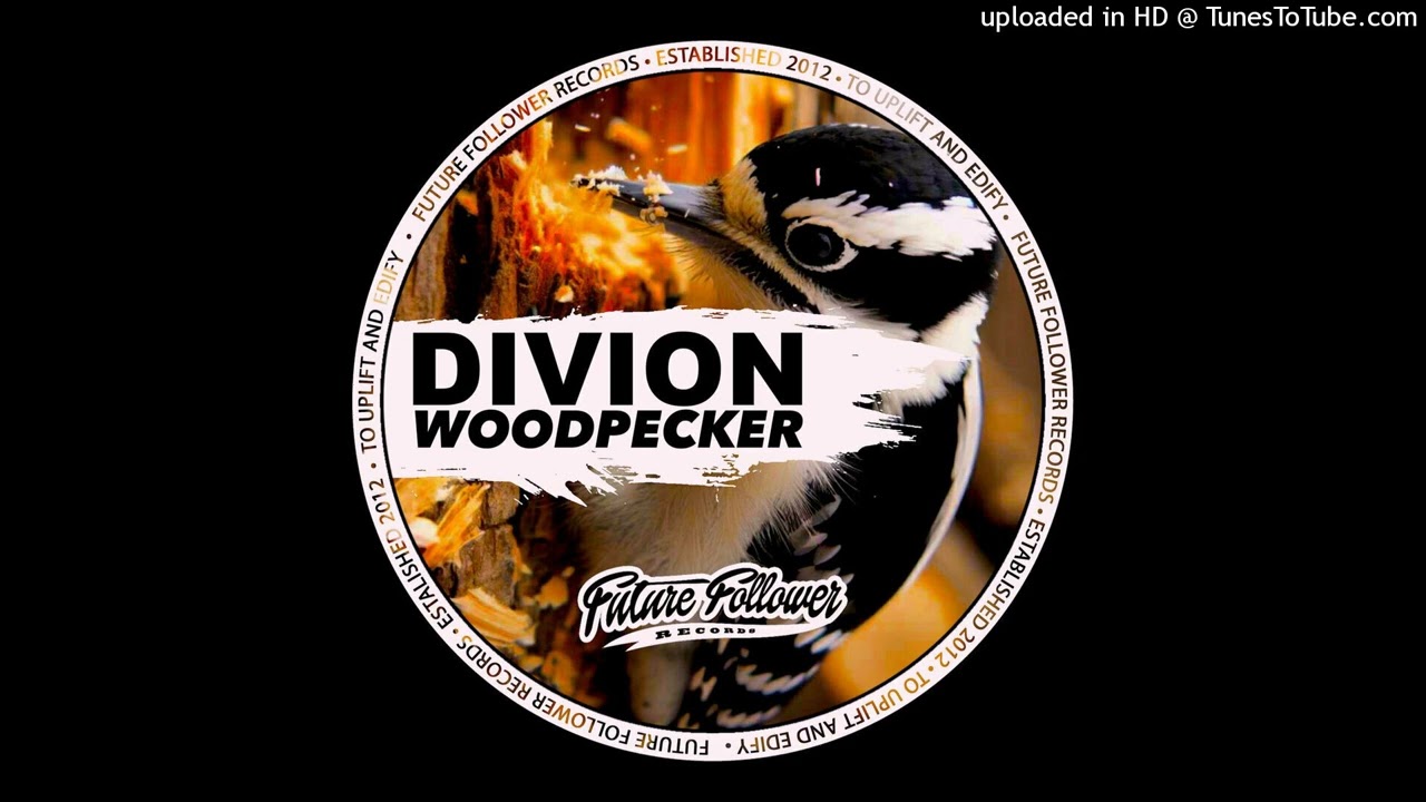 Divion - Woodpecker