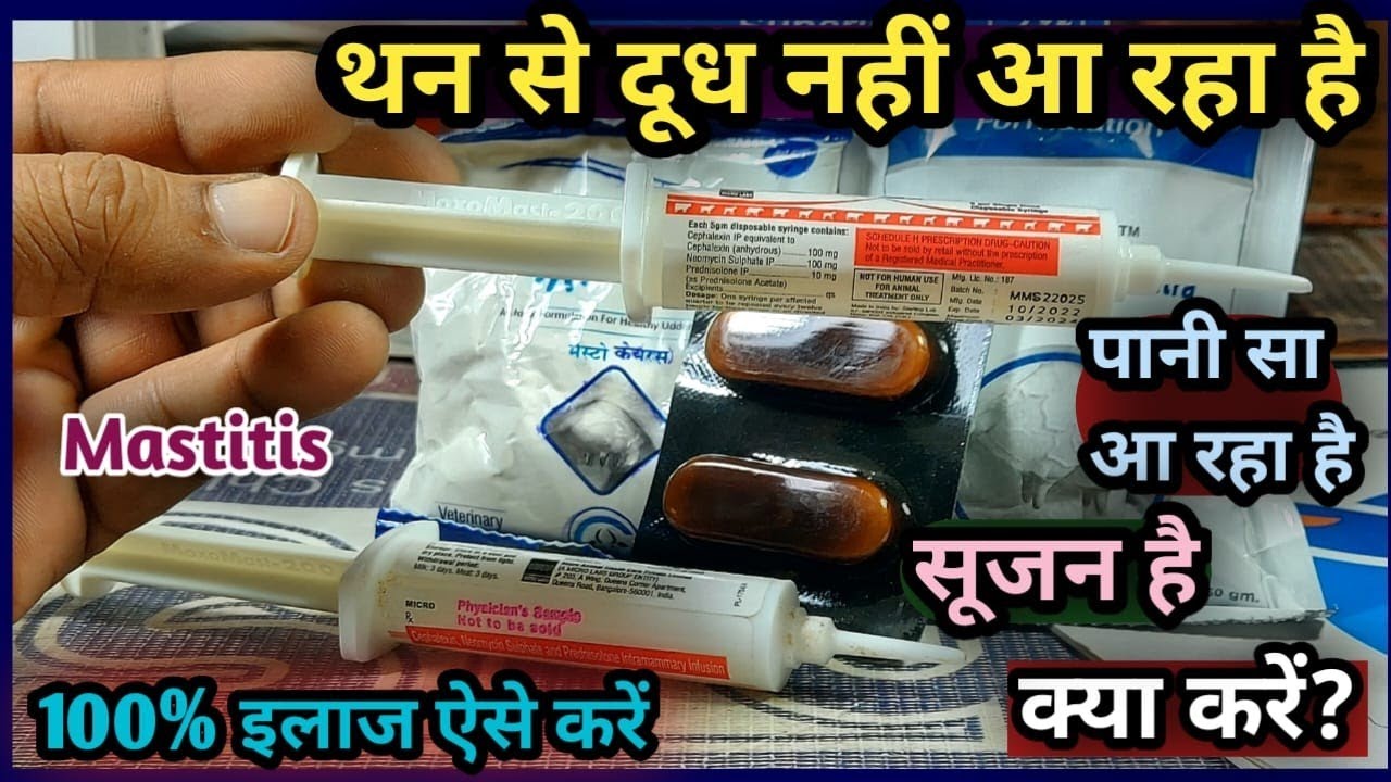 थन से दूध नहीं आ रहा है/पानी आ रहा है, सूजन है,क्या करें? 100% इलाज/Than Se Doodh nai aa raha