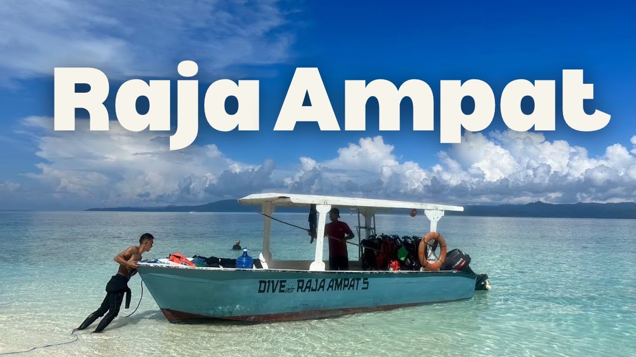 “Diving in Raja Ampat(ラジャアンパット): Unforgettable Underwater Scenes and Waiwo Dive Resort”