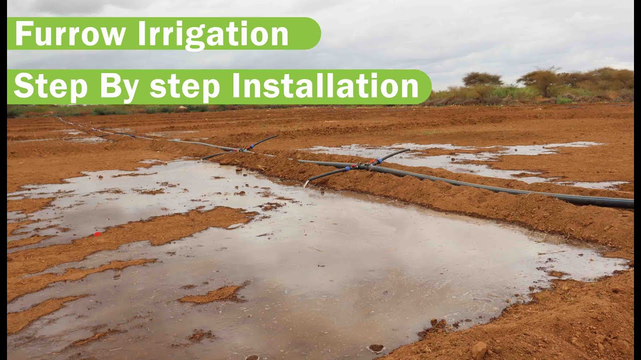 Furrow Irrigation Installation Step-by-Step