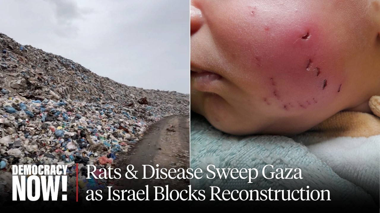 Gaza Faces Public Health Collapse Amid Rat Infestation & Disease as Israel Blocks Reconstruction