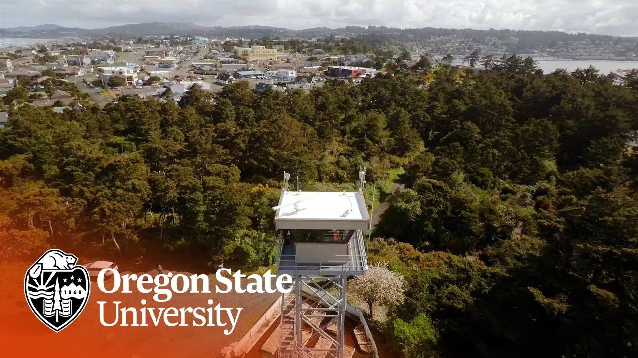 Coastal Remote Sensing - College Research Projects