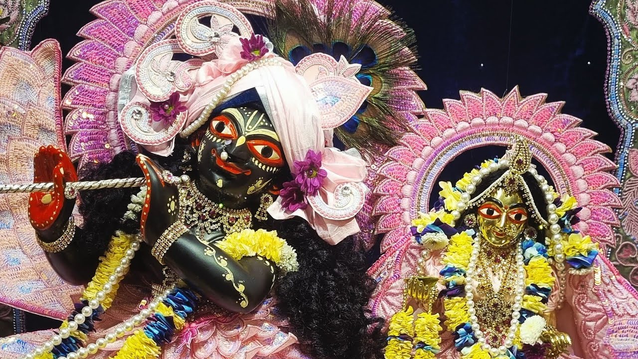 A grateful heart is a happy heart _ Param Pujya Radhanath Swami Maharaj.