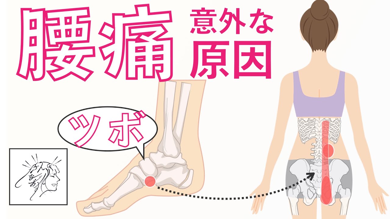 腰痛（背骨に近いところ〜お尻）の意外な原因｜ツボ