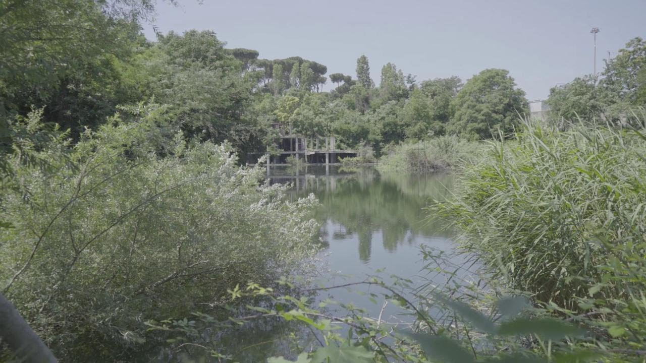 La vecchia fabbrica e il lago spontaneo: un angolo di Roma che ancora resiste