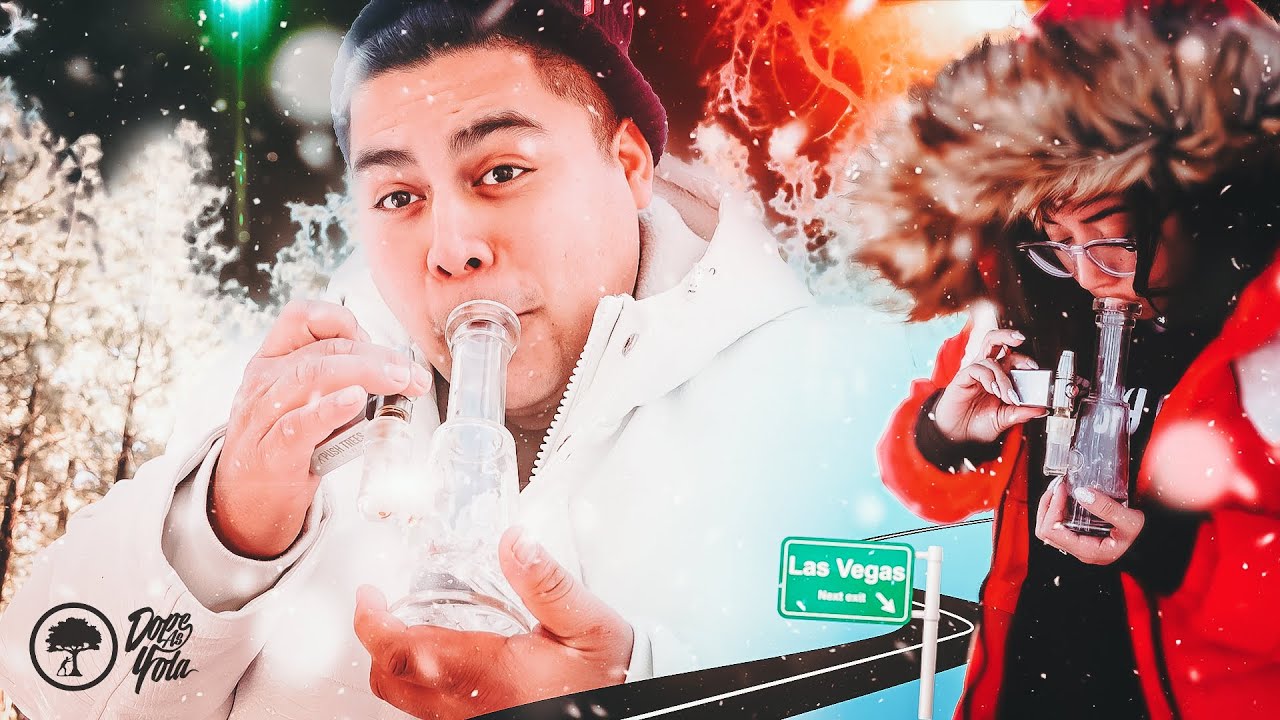 Vegas/New Years Vlog w/ Stoner Dottie
