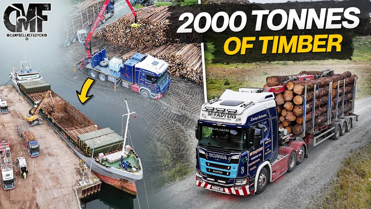 Loading 2000 Tonnes of Timber on to a vessel in 2 days!