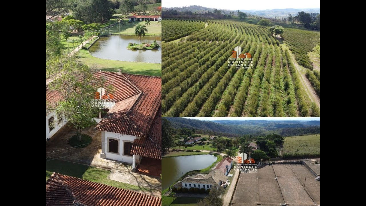 DESLUMBRANTE FAZENDA CENTENÁRIA COM COLHEITA MECANIZADA - 202 ALQUEIRES - NO CRICUITO DAS ÁGUAS CAFÉ