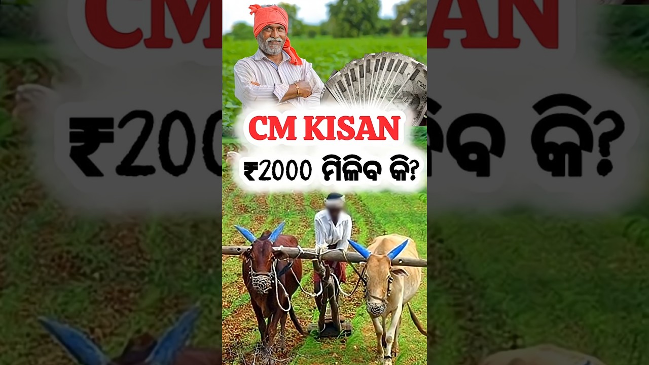 CM Kisan ₹2000 ମିଳିବ? 😱 | CM Kisan Big New Update 2026  #shorts