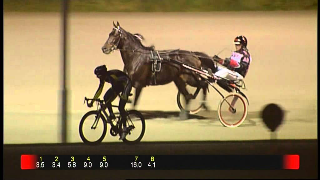 GPTV: Johnny Hoogerland gaat strijd aan op drafbaan Victoria Park