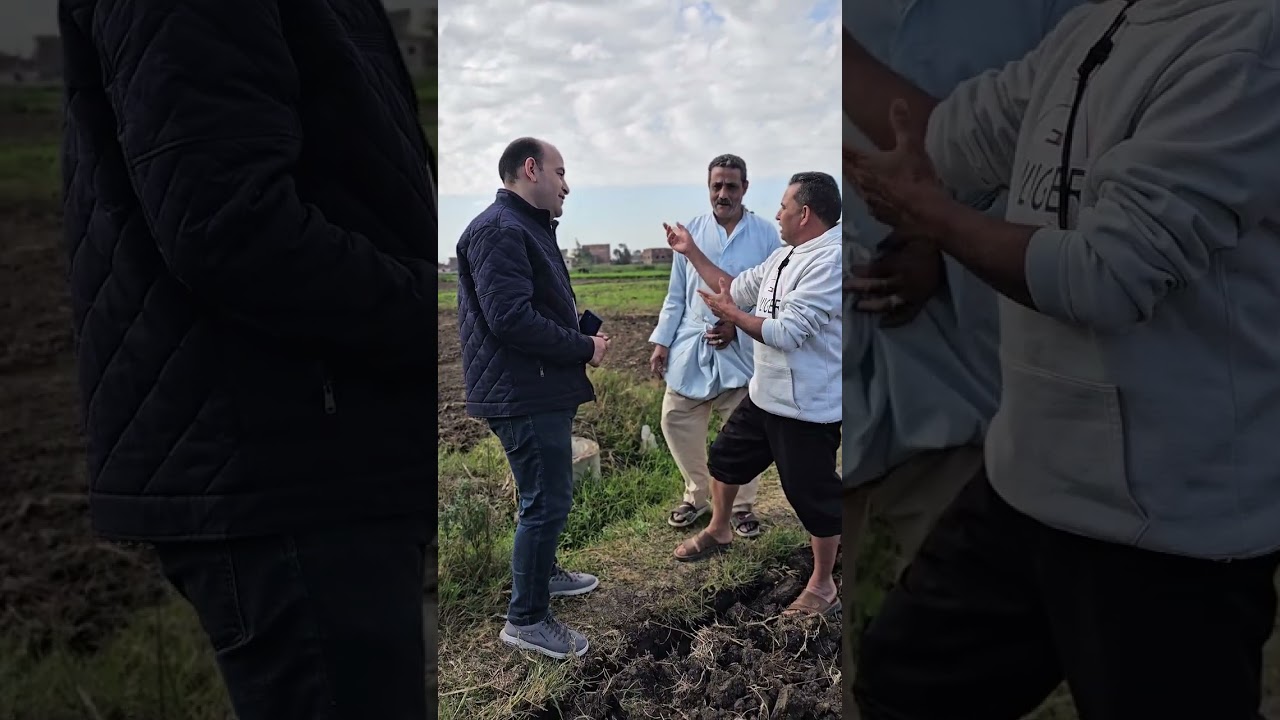 عفير  ولا تخضير 🙏🏻،مع المهندس خالد الهواري👷‍♂️ماجستير أمراض نبات 🌾للاستفساراكثر :01221483587 واتساب